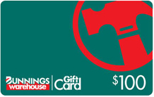 bunnings_100