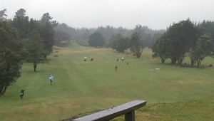 wpid-wp-1448989466085.jpeg